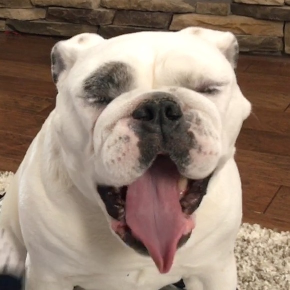 Meet your Posher, Kelsey - Picture 1 of 2